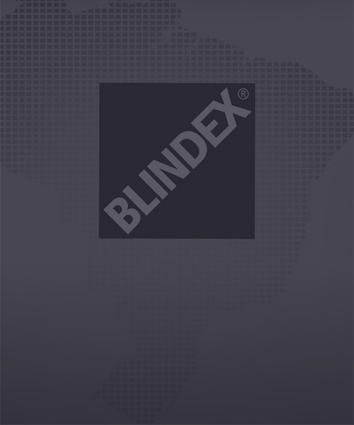 Vdeo Institucional Blindex